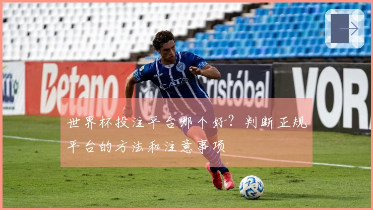 世界杯投注平台哪个好？判断正规平台的方法和注意事项