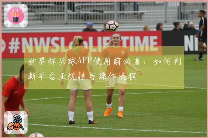 世界杯买球APP使用前必看，如何判断平台正规性与操作流程
