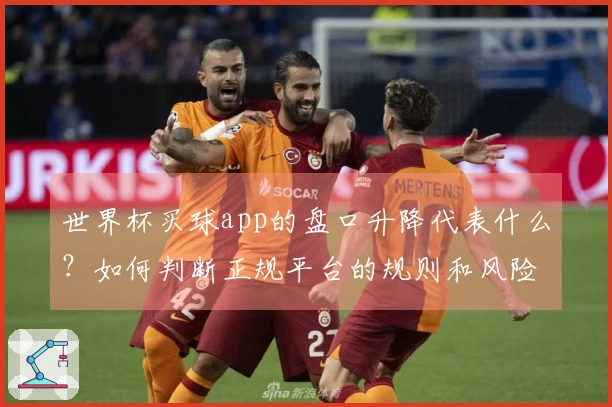 世界杯买球app的盘口升降代表什么？如何判断正规平台的规则和风险？