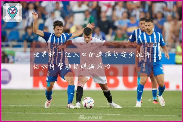世界杯下注入口的选择与安全性评估如何帮助你规避风险